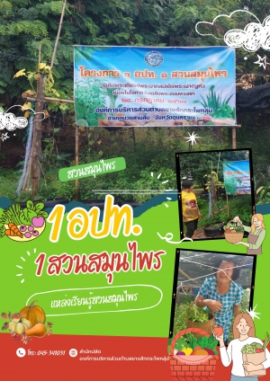 โครงการ1 อปท 1 สวนสมุนไพร  ขององค์การบริหารส่วนตำบลยางสักกระโพหลุ่ม