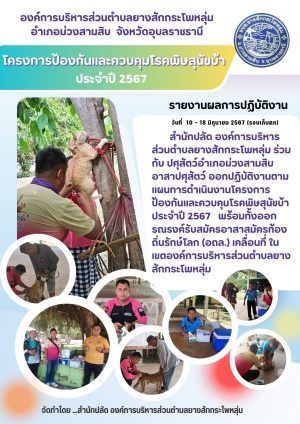 สื่อประชาสัมพันธ์ : รายงานผลการปฏิบัติงานโครงการป้องกันและควบคุมโรคพิษสุนัขบ้า ขององค์การบริหารส่วนตำบลยางสักกระโพหลุ่มประจำปี 2567
